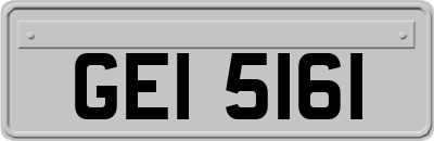 GEI5161