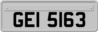 GEI5163