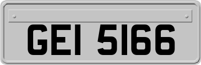 GEI5166