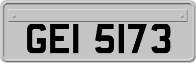 GEI5173