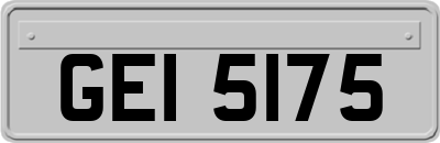 GEI5175