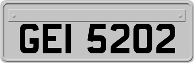 GEI5202