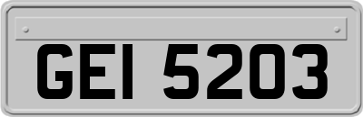 GEI5203