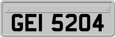 GEI5204