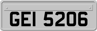 GEI5206