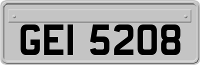 GEI5208