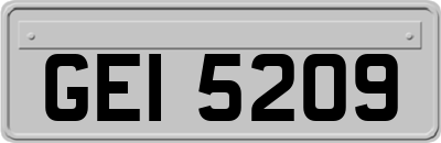 GEI5209
