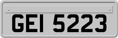 GEI5223