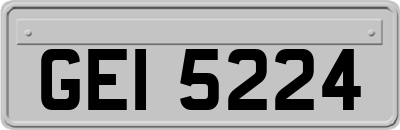 GEI5224