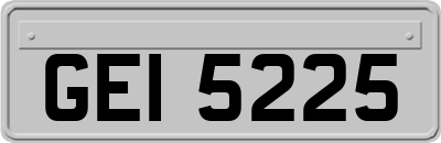 GEI5225