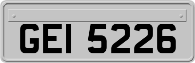 GEI5226