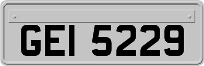 GEI5229