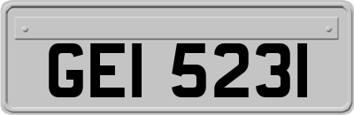 GEI5231