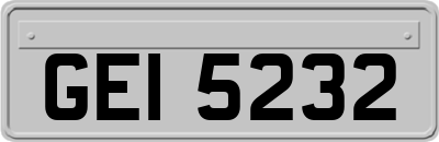 GEI5232