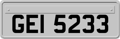 GEI5233