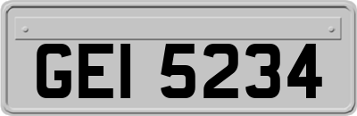 GEI5234