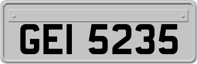 GEI5235