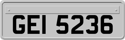 GEI5236