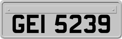 GEI5239
