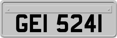 GEI5241
