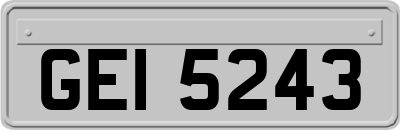 GEI5243