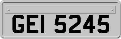 GEI5245