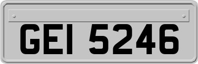 GEI5246