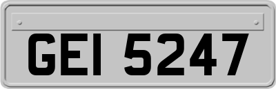 GEI5247