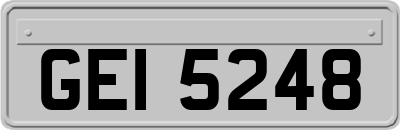 GEI5248
