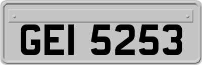 GEI5253