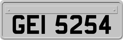 GEI5254