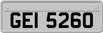 GEI5260