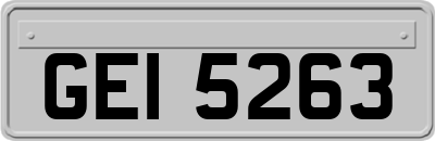 GEI5263