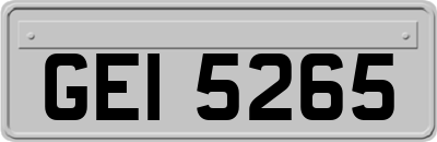 GEI5265