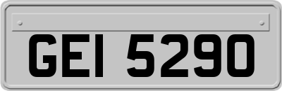 GEI5290