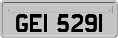 GEI5291