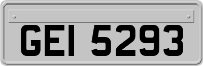 GEI5293