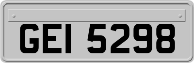 GEI5298