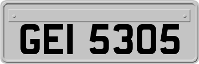 GEI5305