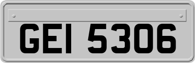 GEI5306
