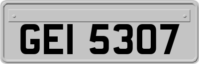 GEI5307