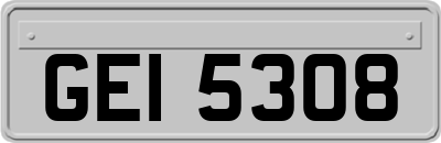 GEI5308