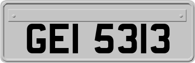 GEI5313