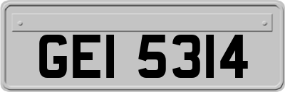 GEI5314