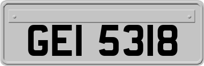 GEI5318