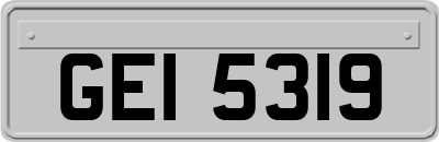 GEI5319