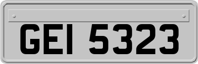 GEI5323