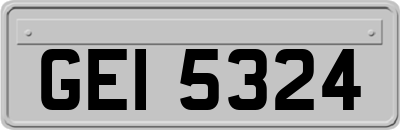 GEI5324