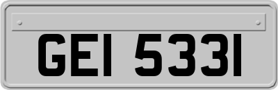 GEI5331