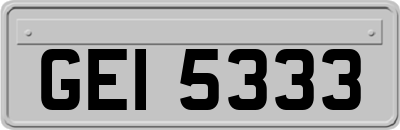 GEI5333